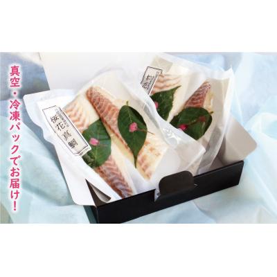 ふるさと納税 愛南町 桜花 真鯛 切り身 4柵 合計 540g ( 270g ×2 パック ) 朝〆 まだい 鯛 愛南町 |  | 03