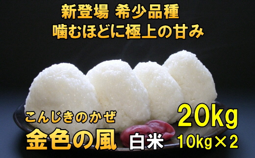 新登場の高級米 令和7年産 岩手県奥州市産 金色の風 白米20kg [AC034]