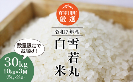 ＜数量限定＞ 令和7年産 雪若丸【白米】30kg定期便 (10kg×3回) 山形県真室川町　◆NR7Y3010M-H9999