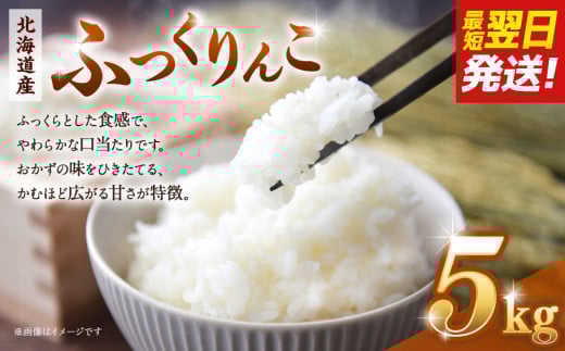 【令和６年産米/最短翌日発送】 北海道産ふっくりんこ５kg【国産 白米 精米 お米 単一原料米 厳選 マイスター 生活応援 ふっくりんこ おすすめ 北海道 美唄市 美唄】