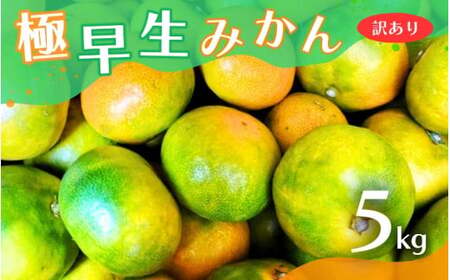 【2026年秋頃発送予約分】【訳あり】こだわりの極早生みかん 約5kg ※2026年10月～11月に順次発送予定（お届け日指定不可） 有機質肥料100% サイズ混合  有田産【nuk165B】 