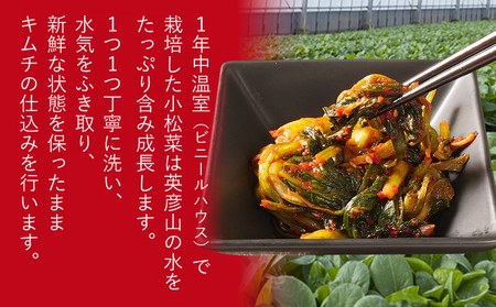 【ふるなびWEEK対象】キムチ 600g しる婆のメディカル小松菜キムチ