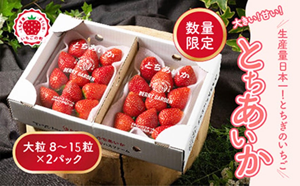 
                  いちご 甘さ際立つ新品種 『とちあいか』 大粒 8～15粒×2パック 先行予約 58ロハスファーム【58ロハスクラブ】｜いちご イチゴ 苺 先行予約 栃木県 果物 くだもの フルーツ とちあいか 新鮮 贈答 ギフト 大粒 ※2027年1月～発送
                