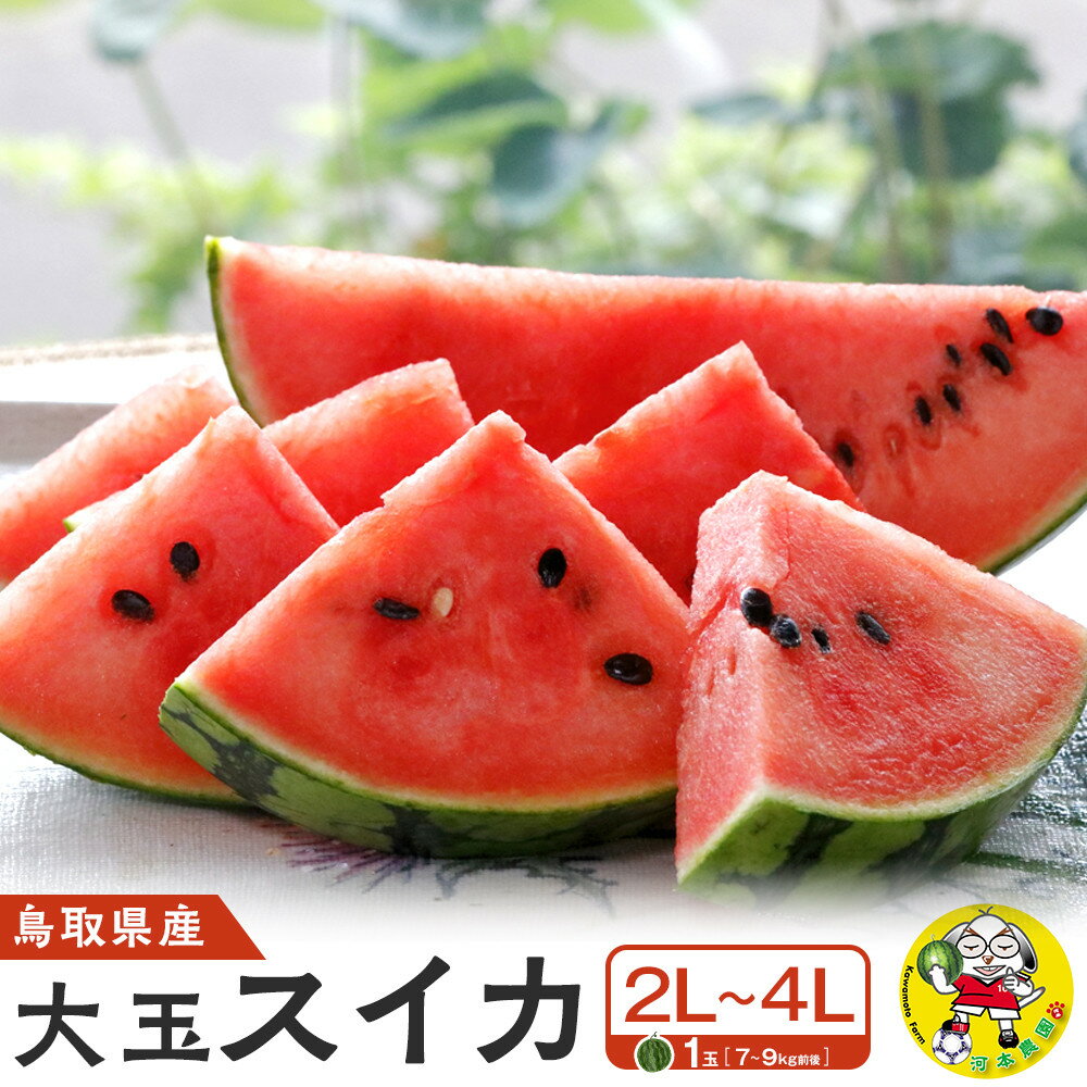 【ふるさと納税】1117.鳥取県産 大玉スイカ 1玉 7-9キロ前後2L-4Lサイズ（こちらの返礼品は、大栄西瓜ではありません） | 西瓜 スイカ 果物 フルーツ 大玉 鳥取県 北栄町 おすすめ 人気 新鮮 7kg ～ 9kg 2Lサイズ ～ 4Lサイズ