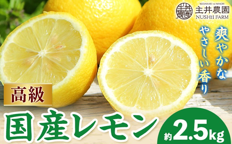 
                  先行予約 レモン 高級国産レモン 約2.5kg 主井農園《2月上旬-5月上旬頃出荷》 和歌山県 日高町 れもん レモン 檸檬 lemon 柑橘 国産レモン 高級 料理 レモンサワー 送料無料
                