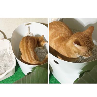 ふるさと納税 海南市 人工芝タイプの猫砂マット 92×70 BDK1013151 |  | 03