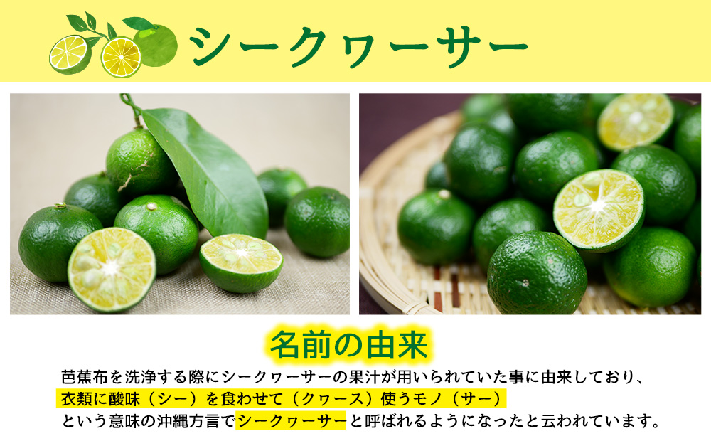 沖縄県産青切りシークヮーサー100％果汁300ml×3本セット