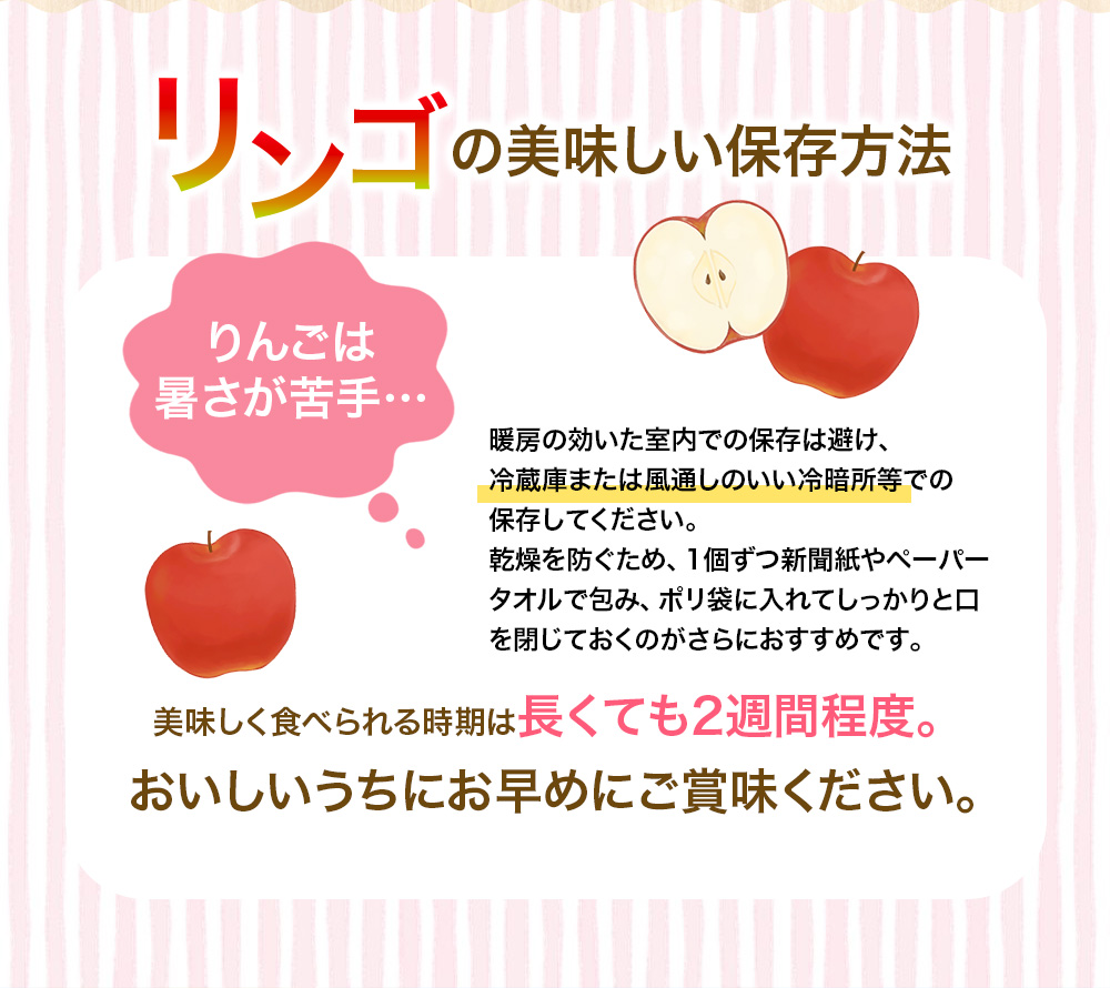 【令和6年度分予約受付】大文字りんご園 サンふじ 約3kg (7～10玉) 【2024年12月上旬より順次発送】/ 樹上完熟 りんご リンゴ 林檎 果物 くだもの フルーツ 甘い 旬 産地直送 予約 