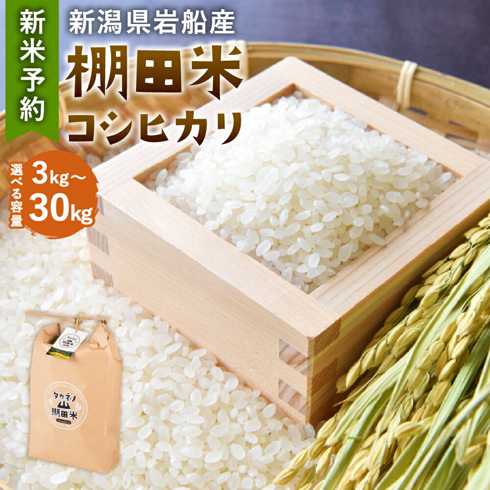 【ふるさと納税】【新米受付・令和8年産米】新潟県村上市岩船産 棚田米 コシヒカリ 【選べる容量】 3kg ～ 30kg　米 精米 白米 ご飯 ごはん 新潟県 村上市 送料無料 NA4038 NB4035 NC4017 ND4016 1077007N 1011008N
