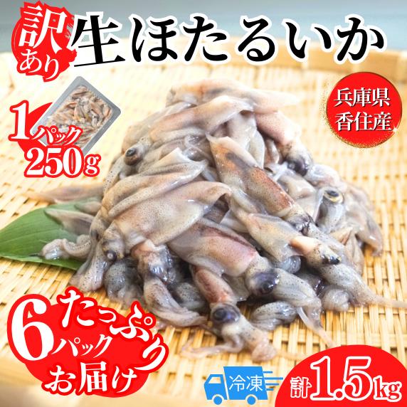 【先行予約】訳あり ほたるいか 小分け 250g×6パック 1.5kg 香住産 冷凍　令和7年2月下旬以降発送  07-02