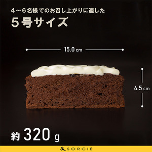 【着日指定可】ガトーショコラクラシック5号ガトーショコラ【IT0071】