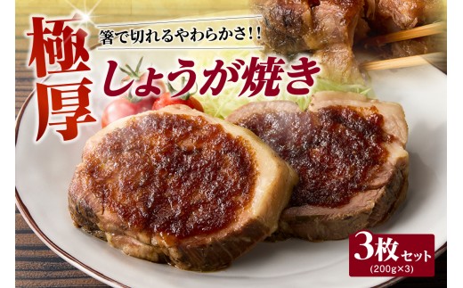 極厚しょうが焼き　３枚セット