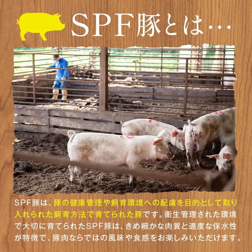 東庄町産SPF豚 焼肉&しゃぶしゃぶセット 計2kg 田谷ミートセンター 焼肉 しゃぶしゃぶ