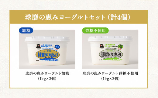 とろ～り食感!!球磨の恵みヨーグルトセット1kg×4パック (加糖・砂糖不使用 各2パック)