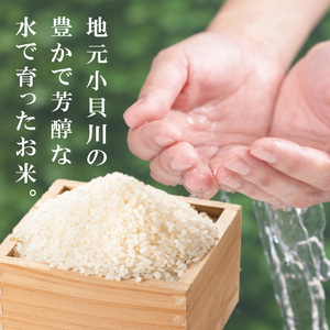 【数量限定】R7年産取手市産あきたこまち 無洗米10kg（5kg×2袋）|お米 米 新米 白米 茨城県 取手市（BS014）