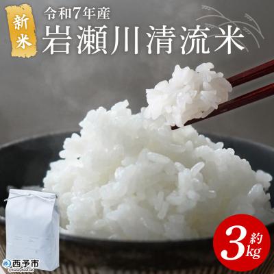 ふるさと納税 西予市 &lt;令和7年産 新米 岩瀬川清流米 3kg 選べる こしひかり コシヒカリ