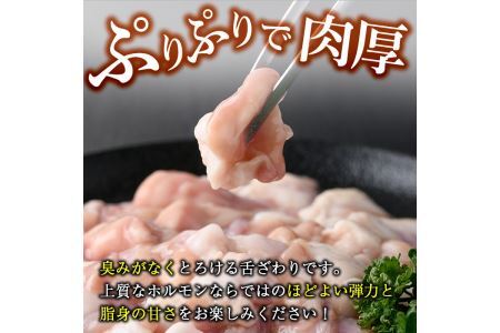 博多和牛もつ鍋用ホルモン 自家製焼肉のたれ付(500g) 牛肉 和牛 博多和牛 国産 ホルモン もつ モツ もつ鍋 ＜離島配送不可＞【ksg1291】【くしだ企画】