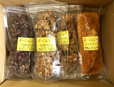 八ヶ岳グラノーラと手作りケーキ（レモンケーキ）セット　ケーキ グラノーラ 菓子 詰合せ レモンケーキ 1本 八ヶ岳グラノーラ プレーン きなこ カカオ 3種 各100g セット 手作り 八ヶ岳 健康食