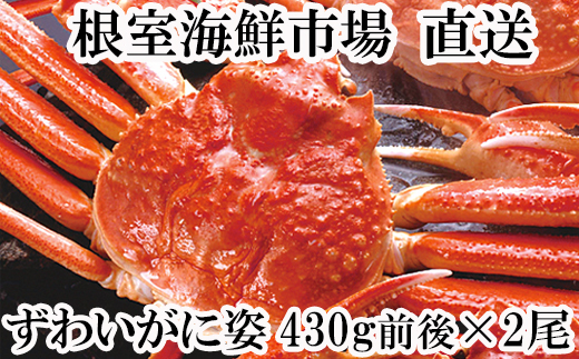 A-11232  ずわいがに姿430g前後×2尾