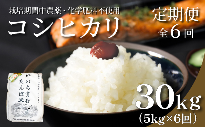 
            新米 定期便 6回  米 コシヒカリ 計30kg 5kg × 6回 白米 お米 おこめ こめ 精米 ごはん 国産 限定 白飯 ご飯 精米したて ふるさと ランキング おいしい TKG 卵かけご飯 おにぎり おむすび 栽培期間中無農薬 いのち育む田んぼ米 生物多様性 送料無料 【北海道･東北･沖縄･離島への配送不可】 徳島県 小松島市  
          