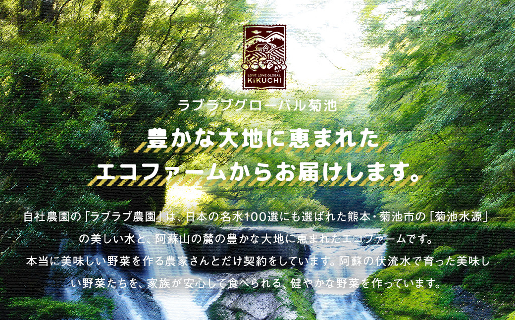 【2022年9月上旬発送開始・3回定期便】阿蘇の伏流水をたっぷり含んだお野菜詰め合わせ 8品～10品