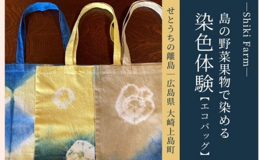 
                  島の色に染めてみよう！大崎上島の野菜果物染め体験ペア利用（エコバッグ）
                
