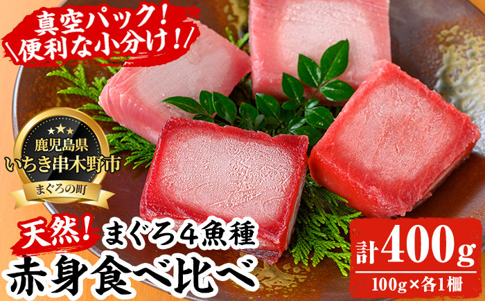 
            天然 マグロ 赤身 食べ比べ! 本まぐろ 南まぐろ メバチまぐろ キハダまぐろ それぞれ 赤身100g 合計400g 小分け柵でお届け! 刺身 に 【海鮮まぐろ家】【A-1657H】
          