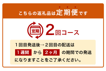 2回定期【訳あり】”やーらしか”鹿島産みかん 約6.5kg ×2回 【配送期日指定不可】佐賀県 鹿島市産 温州ミカン 旨み凝縮 小粒みかんB-714