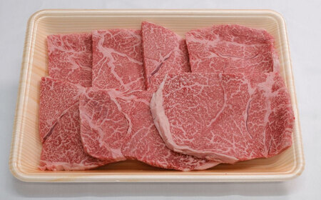 厳選佐賀牛 赤身ステーキ500g / 赤身 赤身 赤身 赤身 赤身 赤身 赤身 / 佐賀県 / 有限会社片岡精肉店 [41AEAC015]