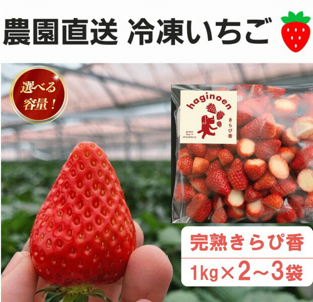 【ふるさと納税】 冷凍 いちご きらぴ香 完熟 2kg 3kg 選べる 容量 イチゴ 苺 果物 スイーツ デザート アイス 氷菓 ギフト 贈答 用 萩埜園 牧之原 市 静岡県