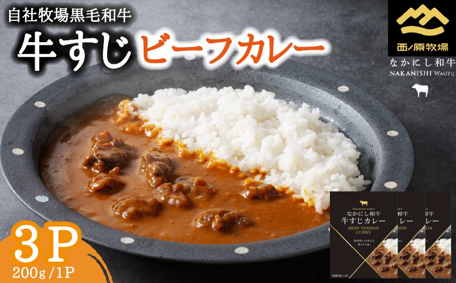 宮崎県西ノ原牧場・黒毛和牛 牛すじ ビーフカレー 3P 牛肉 国産 和牛 牛スジ カレー レトルト 簡単調理