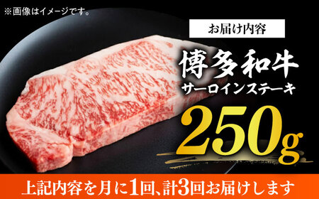 サーロイン 【全3回定期便】 博多和牛A4以上サーロインステーキ250g×1枚 [ABBP045] サーロイン