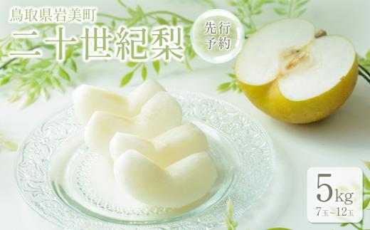 【先行予約】中野農園 梨 ”二十世紀梨” 5kg箱｜鳥取 岩美 梨 なし ナシ 青梨 果物 フルーツ【41026】