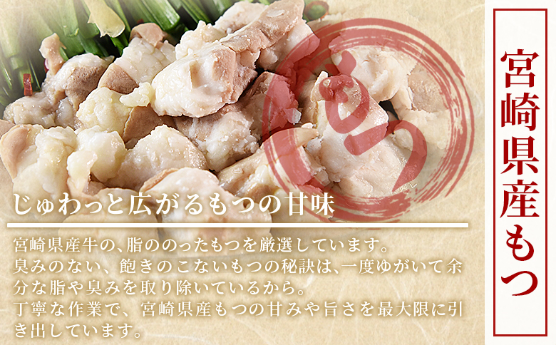 ＜もつ鍋セット（3〜4人分）＞翌月末までに発送【 宮崎県産牛もつ使用 国産 モツ 鍋 牛もつ鍋 セット 和牛 出汁 だし 唐辛子 とうがらし にんにく ニンニク 卵雑炊 チャンポン麺 ちゃんぽん 惣菜