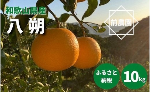 BL6010n_【2026年先行予約】【産地直送】和歌山県産 八朔 10kg (M～3Lサイズ)