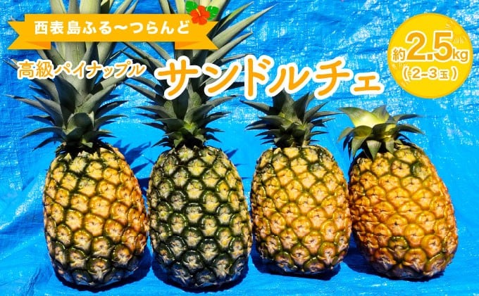 
            高級パイナップル 芳醇な香りと甘み サンドルチェ 約2.5kg（2～3玉）
          