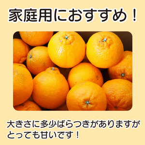 訳あり みかん 果物 しらぬい 3kg L ～ 2L 混合 サイズ不揃い 先行予約 令和 7年産 1箱 不知火 柑橘 阿波市産