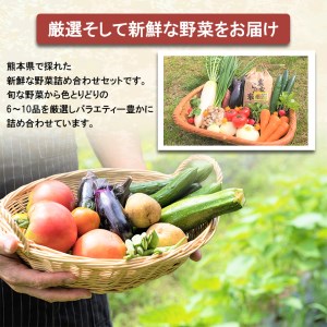 【定期便3回】旬のお任せセット お米(ヒノヒカリ) 2kg・ 旬の新鮮お野菜(6～10品目)セット (詰め合わせ) | 熊本県 和水町 くまもと なごみまち なごみ ヒノヒカリ ひのひかり米 単一原料