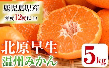 【11月中旬頃発送開始】JAさつま日置産 北原早生（温州みかん） 合計約5kg 厳しい基準をクリアした 甘い みかん をご自宅で！ 果樹【A-1766H】