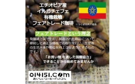 コーヒー豆＜のし付＞つくばで焙煎 エチオピア イルガチェフェ 200g×2種 飲み比べ 缶入り コーヒー