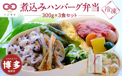 【冷凍】煮込みハンバーグ弁当3食セット　無添加　無農薬米　有機・特別栽培野菜　九州　福岡　国産食材