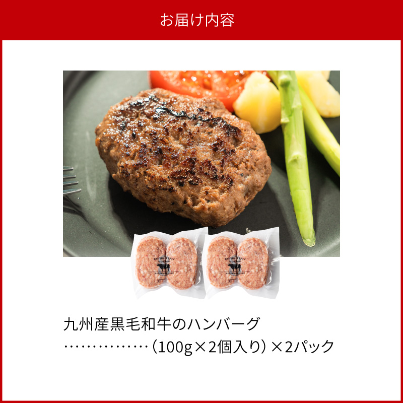 九州産黒毛和牛のハンバーグ(100g×2個入り)×2パック N0105-YA0302