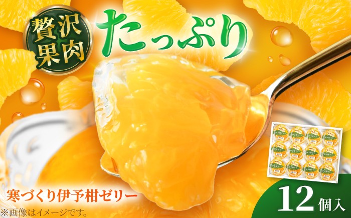 
                  ゼリー 寒づくり伊予柑ゼリー詰め合わせ 12個セット / 伊予柑 ゼリー セット ギフト 詰め合わせ 愛媛産 柑橘 フルーツ スイーツ カップゼリー 果実ゼリー 柑橘ゼリー いよかん 贈答用 贈り物 内祝い お祝い お中元 お歳暮 帰省土産 個包装 国産 愛媛県産 デザート おやつ 果肉入り 高品質 熟成 産地直送 特産品 人気 / 愛媛県砥部町/えひめ中央農業協同組合 [BJCG009]
                