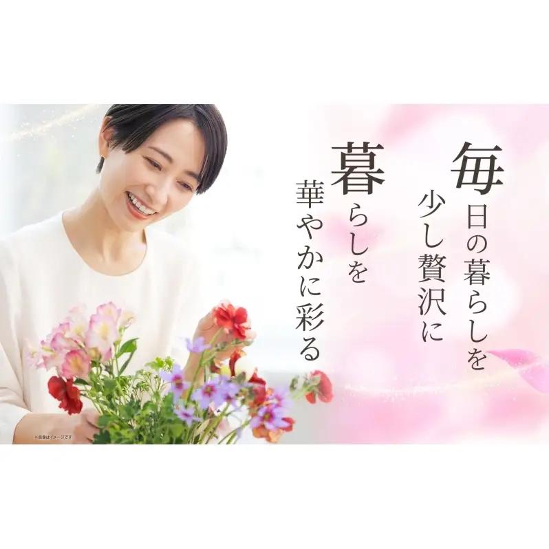 ＜10月配送＞ 北海道 花 詰め合わせ 4品種 20本以上 切り花 切花 花束 ブーケ 季節 旬 生花 フラワー アレンジメント 記念日 産地直送 