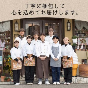 佐伯地産セット・大 (合計13個・6種)レモンケーキ どらやき ブラウニー 小豆 スイーツ スウィーツ 菓子 焼き菓子 和菓子 洋菓子 おやつ 詰め合わせ セット 個装 大分県 佐伯市【ER016】【