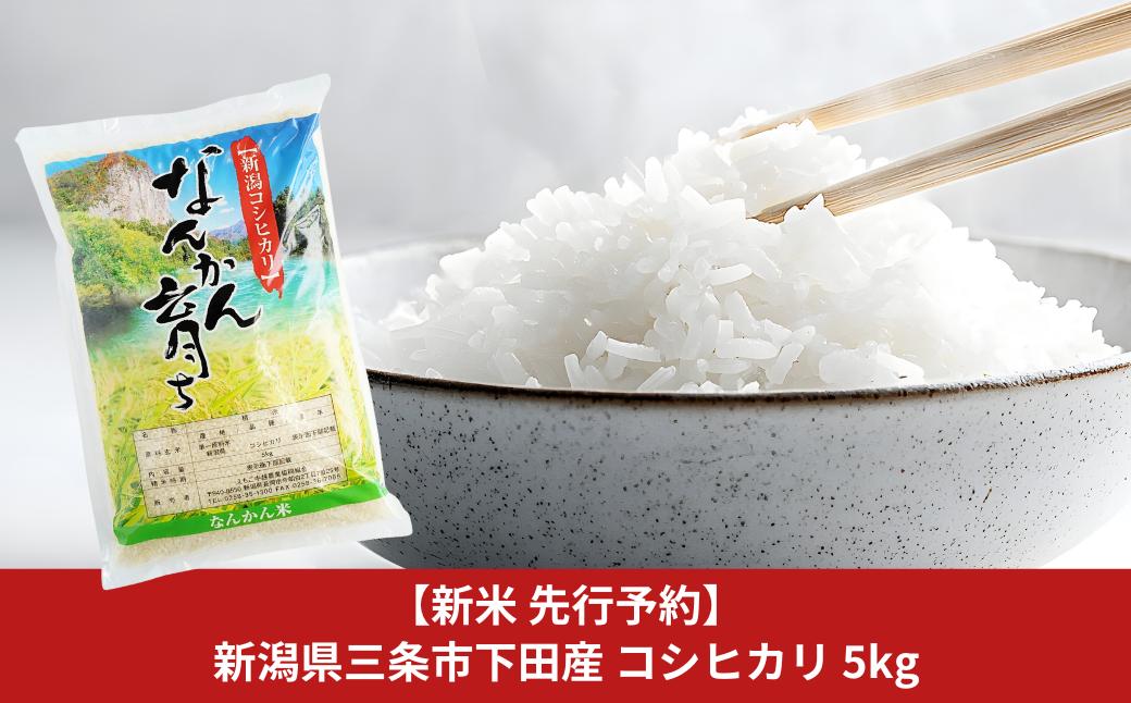 
            新米 先行予約 コシヒカリ 5kg 新潟県三条市下田産 こしひかり 令和7年産 [JAえちご中越]【010S242】
          