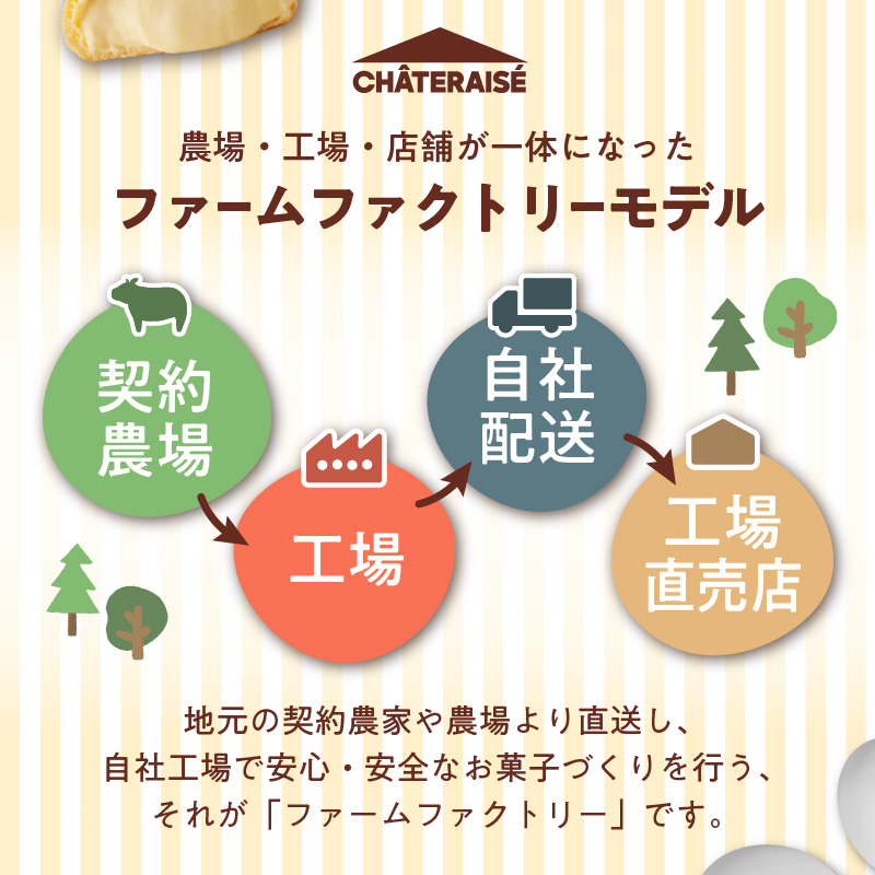 【シャトレーゼ】カステラ（五三焼製法）10個入り