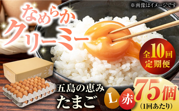 【全10回定期便】【箱入り】五島の恵みたまご Lサイズ 75個入 / 卵 赤玉子五島市 / 五島列島大石養鶏場 [PFQ019]