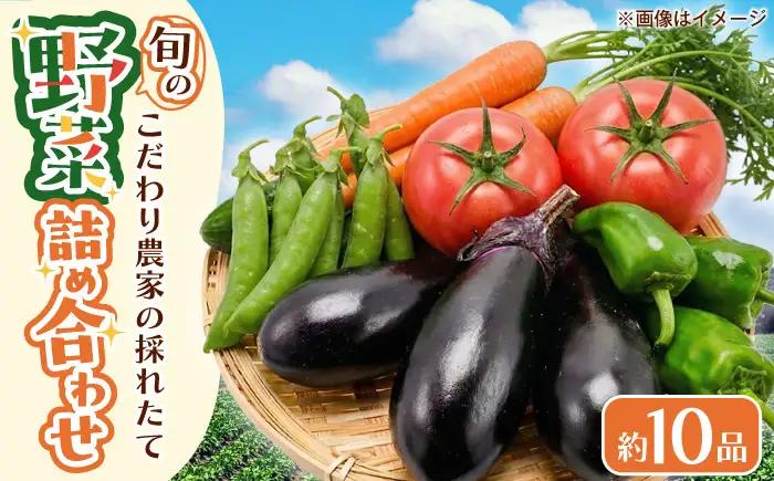 野菜 採れたて野菜セット BLCF001