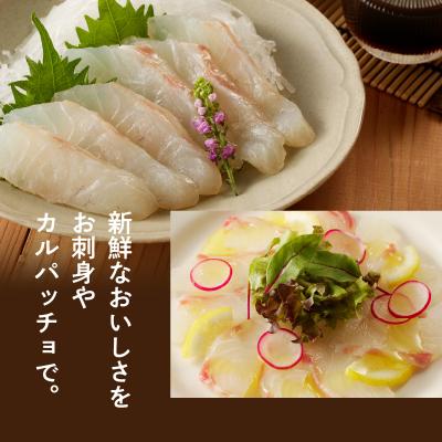ふるさと納税 天草市 真鯛の詰め合わせセット【firesh】_S106-023A |  | 01